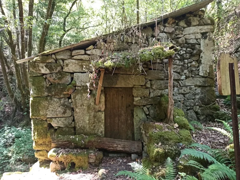 Ruta del agua a orillas del Miño